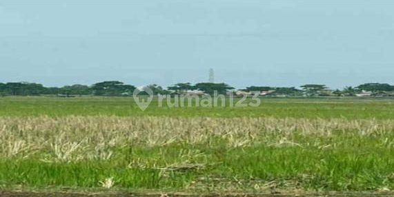 Land at Patimban International Port