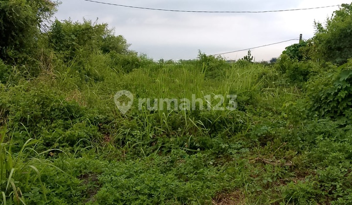 Tanah di Jl Wonosari Ngaliyan Semarang 1