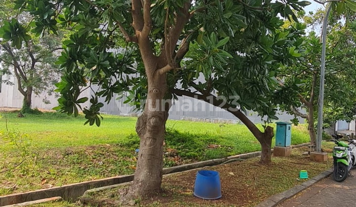 Katamaran Permai Plot
PIK 1 Size 16x35 No restrictions
Affordable Price!!! Katamaran Permai Plot
PIK 1 Size 16x35 No restrictions
Affordable Price!!!