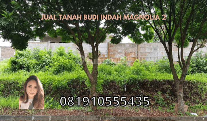 Super Best Deal Tanah Budi Indah Magnolia 2  1