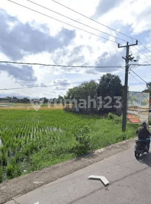 Tanah Tegalluar Sapan Raya dekat Primaterra 2