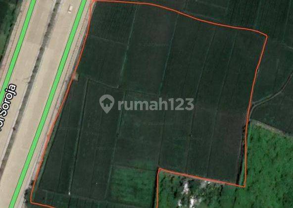 Disewakan Tanah Sawah Soreang Dekat Exit Tol Soreang 3