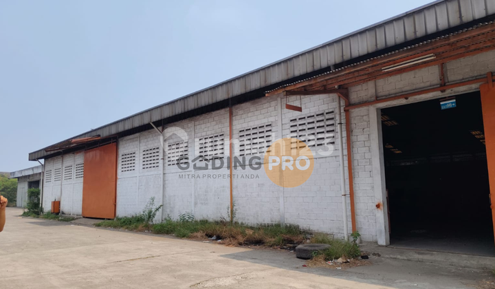 Dijual Gudang Ex Pabrik Cikupa Tangerang Siap Pakai Dijual Gudang Ex Pabrik Cikupa Tangerang Siap Pakai