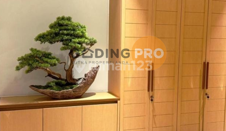 Langka Dijual Apartemen Terrace Gold Coast Furnish Bagus Langka Dijual Apartemen Terrace Gold Coast Furnish Bagus