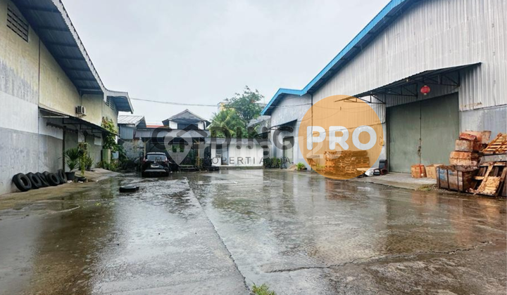 Disewakan Gudang Kapuk Kamal Muara Siap Pakai Disewakan Gudang Kapuk Kamal Muara Siap Pakai