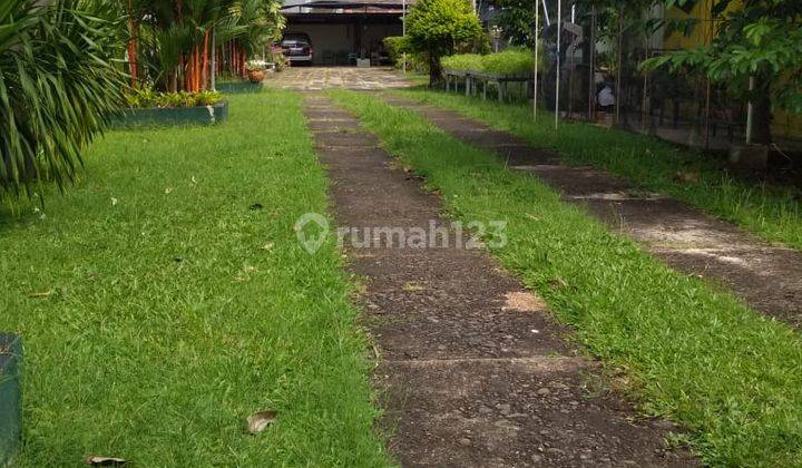 Rumah Besar Ada Taman Lokasi Sangat Komersil Di Pancoran Timur Jaksel 2