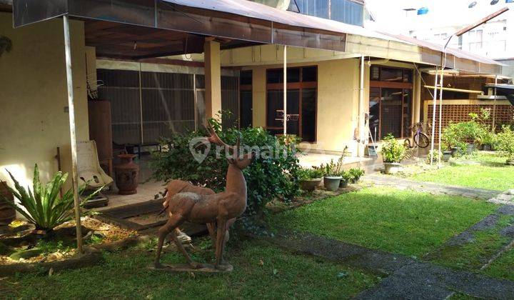 Rumah Besar Ada Taman Lokasi Sangat Komersil Di Pancoran Timur Jaksel 1