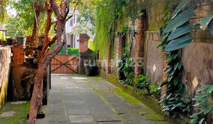 For Sale Bintaro Sector 9 House, Large Land with Pendapa