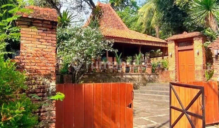 For Sale Bintaro Sector 9 House, Large Land with Pendapa 2