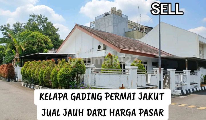 Jual Cepat Jauh Bawah Harga Pasaran Rumah Hoek Kelapa Gading Permai Kelapa Cengkir