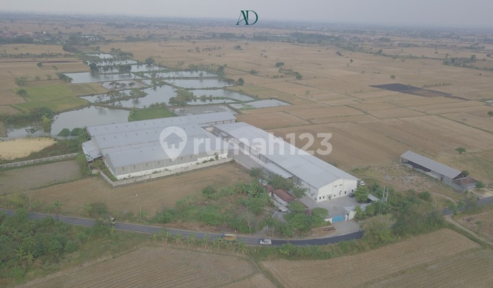 Factory for Sale Ready to Use Gresik Balongpanggang