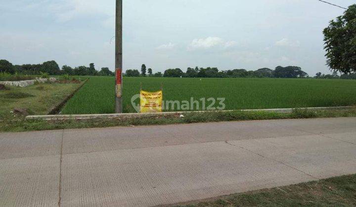 Dijual Tanah Sawah Jatireja Subang Jawa Barat 1