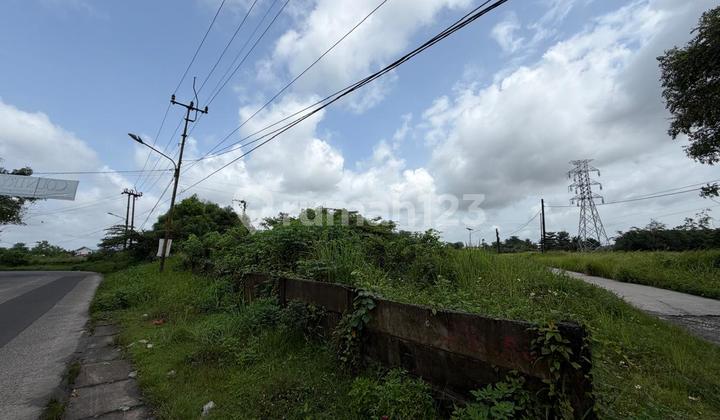 Sell Fast Premium Plot Sodong 4.8 Ha Tigaraksa City