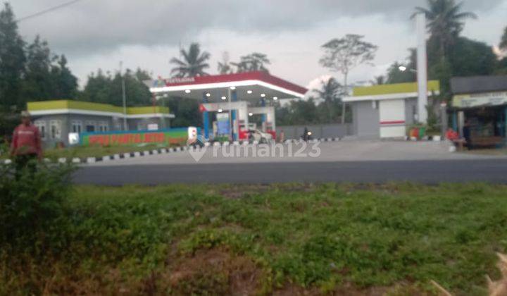Jual Tanah Jalur Wisata Jalan Daendels , di Purworejo 3