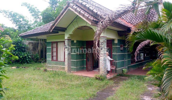 Rumah 1 Lantai Halaman Luas Di Sawangan  2