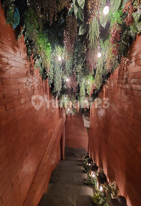 Dijual dan Disewaka Ruko Lokasi Di Jl. Pleburan Raya Semarang 2