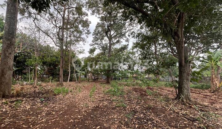 Dijual Tanah Siap Bangun Lokasi Jalan Utama Raya Ngaliyan 1