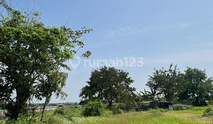 Dijual Tanah 100 Ha Cocok Untuk Pabrik 1