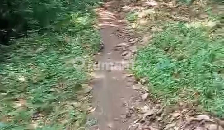 Dijual Tanah Luas Cocok Untuk Perumahan di Gunungpati Semarang 1