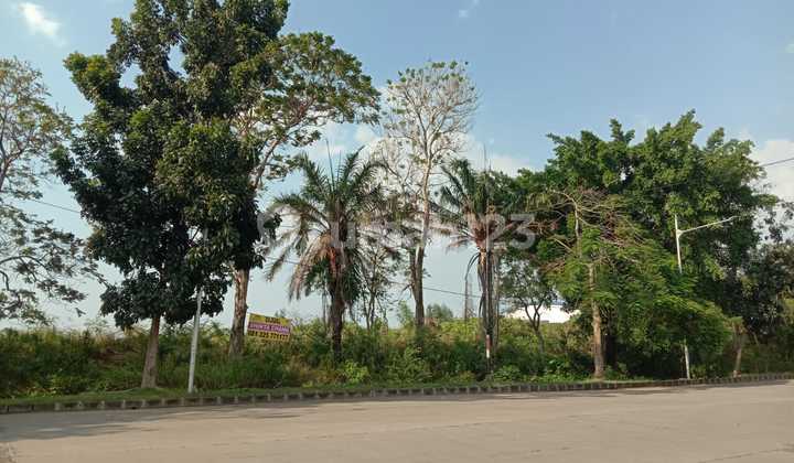 Dijual Tanah Luas Lokasi Strategis di Kawasan Marina Semarang 1