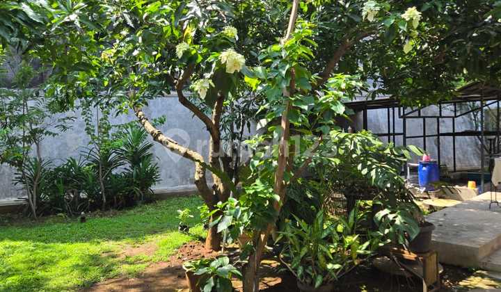 For Sale Luxury House Location Jl. Agung Semarang 2