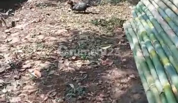 Dijual Tanah Luas Cocok Untuk Perumahan di Gunungpati Semarang 2