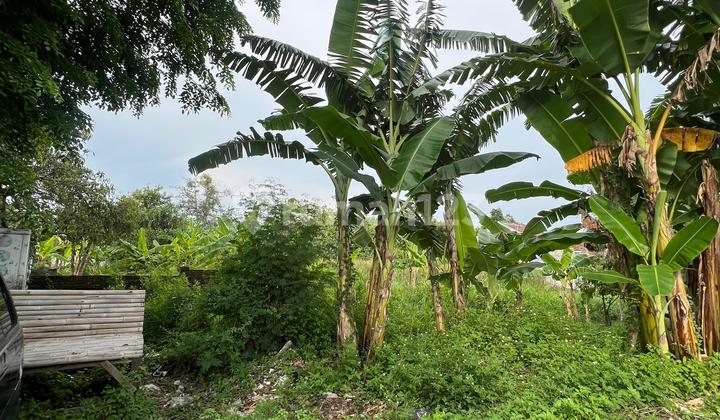 For Sale: Boarding House in a Busy Location on Jl. Lamper Tengah, Semarang 2