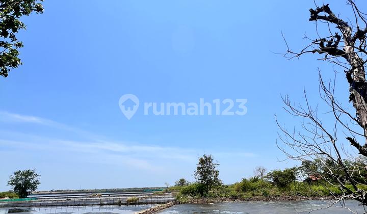 Dijual Tanah Luas Lokasi Kawasan Industri Jl. Wonosari Kendal Dijual Tanah Luas Lokasi Kawasan Industri Jl. Wonosari Kendal