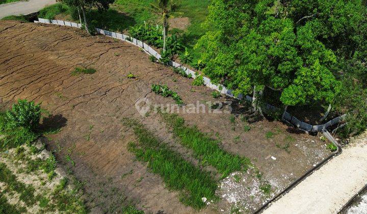 Dijual Tanah Kedungu View Sawah 8