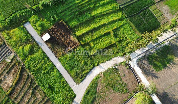 JUAL TANAH DEKAT CANGGU PANTAI KEDUNGU BALI 12