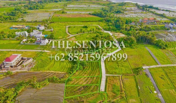 Freehold Land For Sale In Kedungu, Nearby The Beach  1