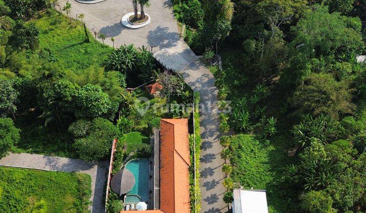 JUAL TANAH DEKAT CANGGU PANTAI KEDUNGU BALI 10