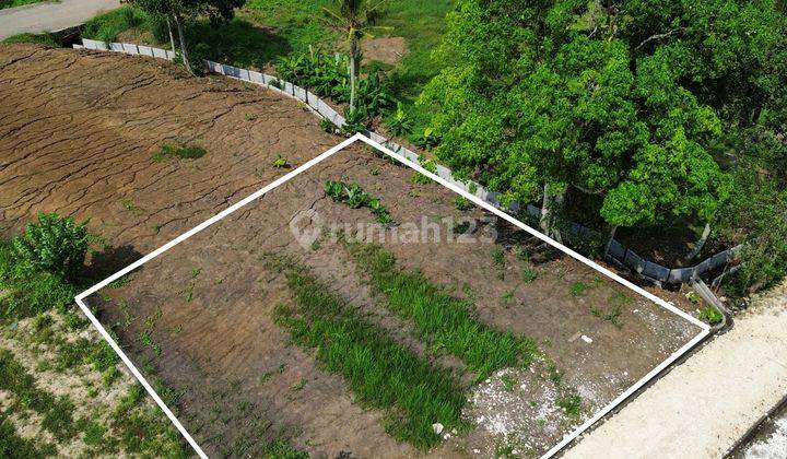 Dijual Tanah Kedungu View Sawah 1