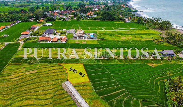 Tanah Pantai Cemagi 150 Meter Pantai Full View