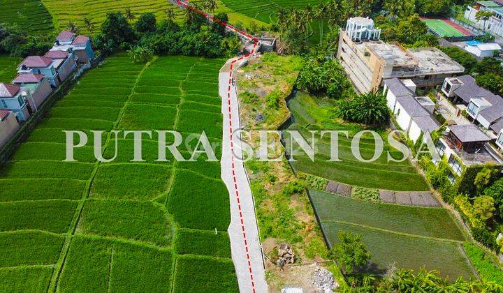 Tanah Pantai Cemagi 150 Meter Pantai Full View