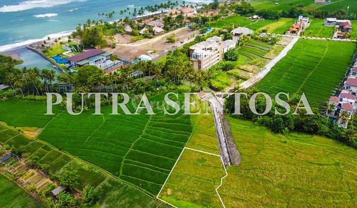 Tanah Pantai Cemagi 150 Meter Pantai Full View