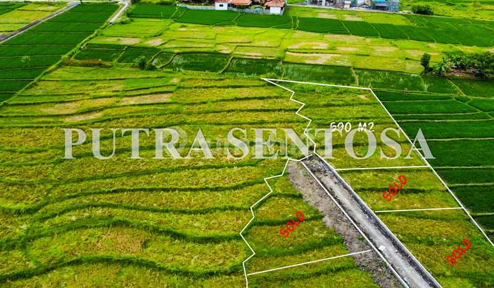Tanah Pantai Cemagi 150 Meter Pantai Full View