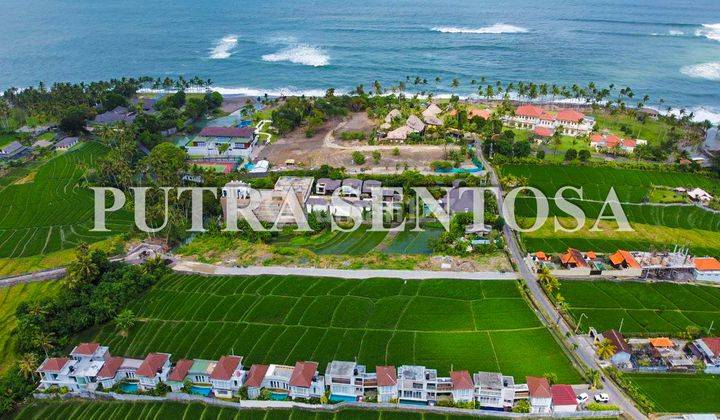 Tanah Pantai Cemagi 150 Meter Pantai Full View