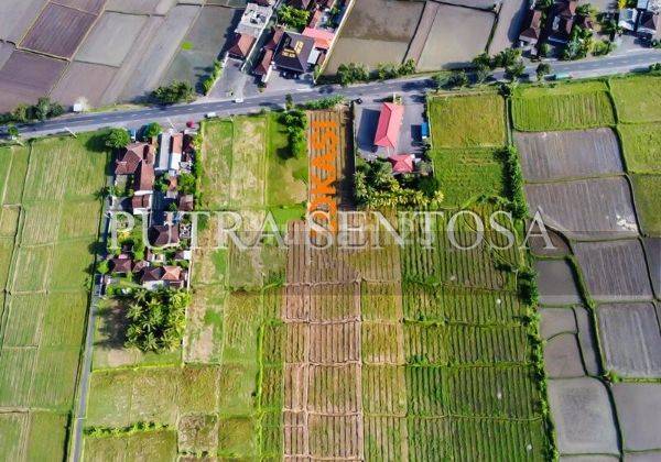 Tanah Denpasar Gilimanuk Pantai Medewi Yehembang Kangin 2