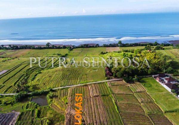 Tanah Denpasar Gilimanuk Pantai Medewi Yehembang Kangin 4