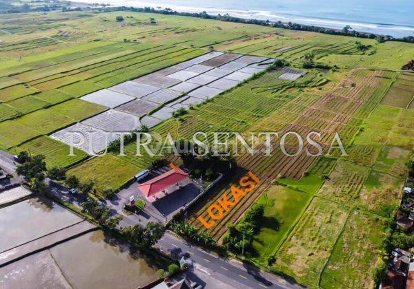 Tanah Denpasar Gilimanuk Pantai Medewi Yehembang Kangin 5