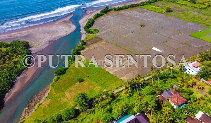 Land Los Medewi Beach Pulukan Pekutatan Bali 2