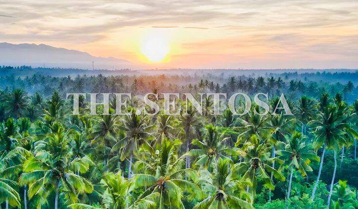Villa Beachfront Pantai Melaya Bali Barat 12
