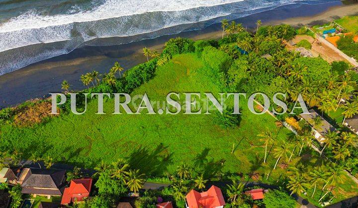 JUAL TANAH MURAH BEACHFRONT BALIAN BEACH SURF 2