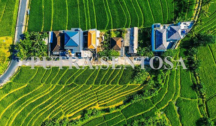 Tanah Tumbak Bayuh Jalan Utama Full View Sawah 2