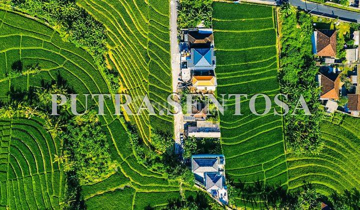 Tanah Tumbak Bayuh Jalan Utama Full View Sawah 4
