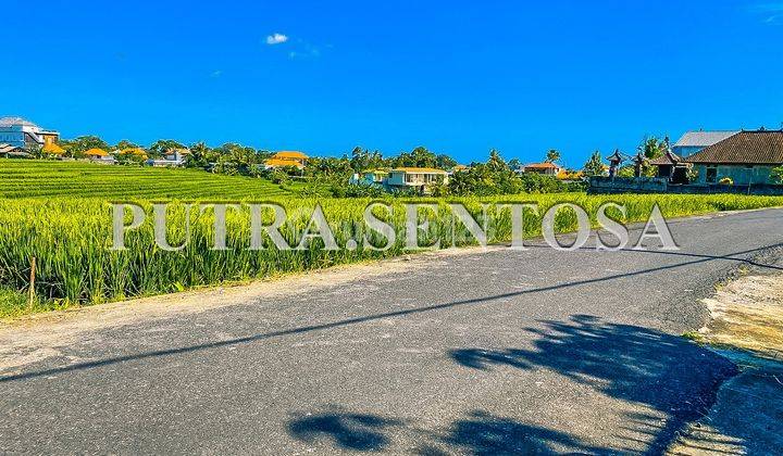 Tanah Tumbak Bayuh Jalan Utama Full View Sawah 8