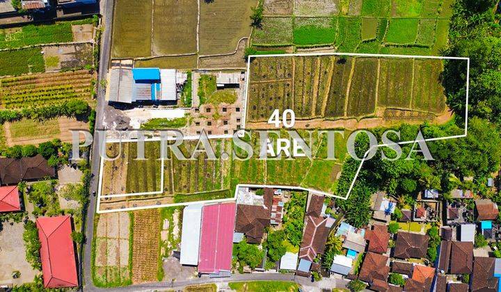 Land For Lease North Canggu Buduk 1