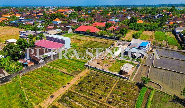 Land For Lease North Canggu Buduk 4