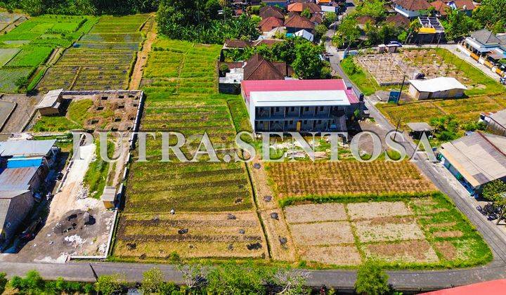 Land For Lease North Canggu Buduk 7